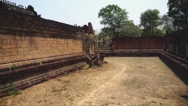 Ruínas do Templo Abandonado Angkor Wat — Vídeo de Stock