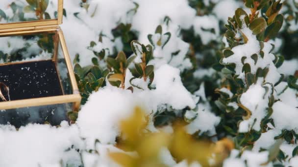 Anéis de casamento em uma caixa de vidro na neve . — Vídeo de Stock