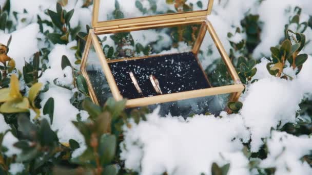 Snubní prstýnek ve skleněném boxu ve sněhu. — Stock video