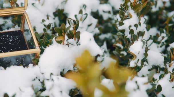 Anéis de casamento em uma caixa de vidro na neve . — Vídeo de Stock