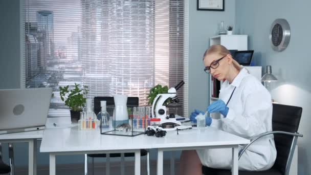 現代化学研究室ではピペットを用いた女性研究者 — ストック動画