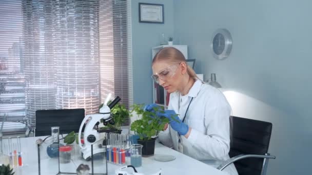 Cientista de pesquisa feminina em óculos de proteção examinando folhas de plantas com pinças — Vídeo de Stock