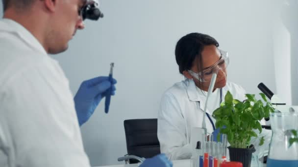 Μαύρο θηλυκό μικροβιολόγος σε γυαλιά ασφαλείας που αναζητούν φύλλα φυτών κάτω από το μικροσκόπιο — Αρχείο Βίντεο