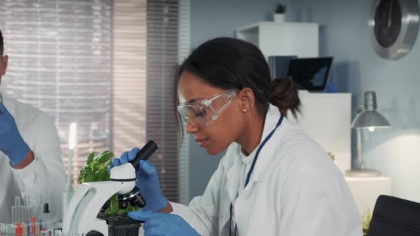 Blandad ras kvinna i labbrock och skyddsglasögon som arbetar med mikroskop — Stockvideo