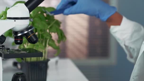 Close-up van vrouwelijke wetenschapper die chirurgische scharen gebruikt om planten blad op Microscoop-podium te zetten — Stockvideo