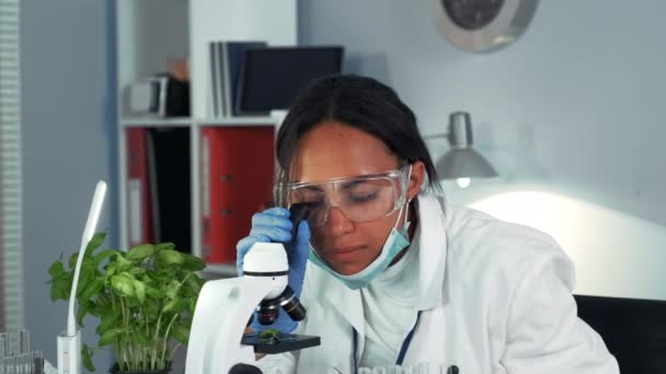 Multiraciale onderzoeker krijgt geschokt door het resultaat van het experiment gezien onder de microscoop — Stockvideo