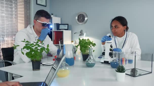 Proceso de trabajo de dos científicos de raza mixta en el laboratorio de química moderna — Vídeos de Stock