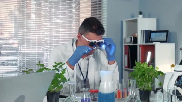 V chemii laboratorní vědec ve zvětšení skla při pohledu na organický materiál — Stock video