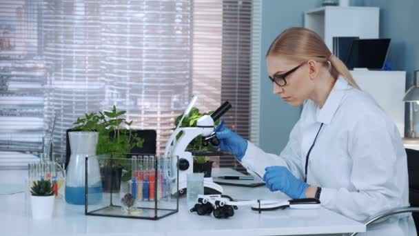 Científica investigadora poniendo material orgánico con pinzas en la diapositiva — Vídeo de stock