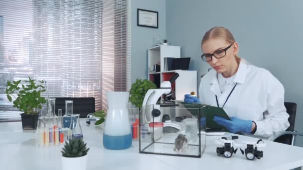 Эксперимент на хомяке в современной лаборатории: ученый наблюдает за поведением животных и делает заметки — стоковое видео