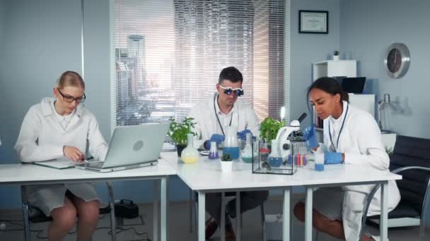 Mixed race team of research scientists working in modern bright chemistry lab — Stock Video