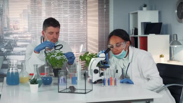 Em um laboratório de pesquisa química cientistas de raça mista testemunhando a descoberta após experiência fornecida — Vídeo de Stock