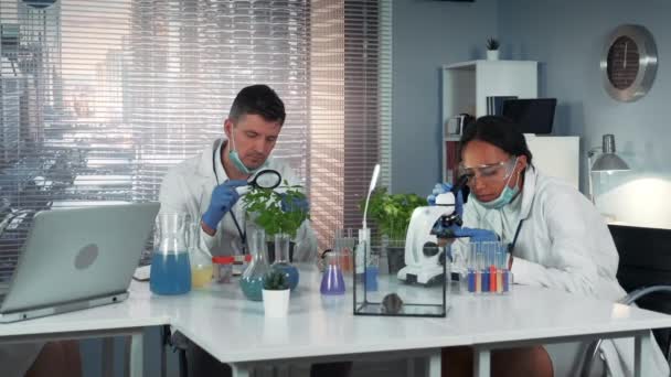 Equipo mixto de científicos de investigación sorprendidos por la reacción química de la sustancia — Vídeo de stock