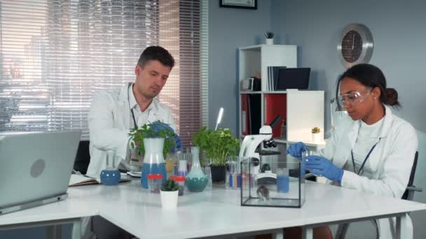 Em laboratório moderno cientista ajudando seu colega a realizar a experiência, preparando fertilizante em frasco — Vídeo de Stock