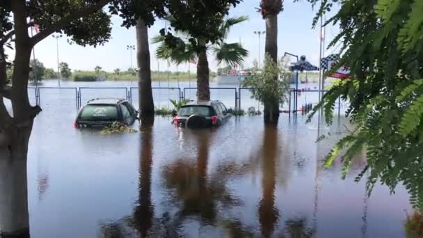 Autók elsüllyedt az floodwaters. Áradások ábrázolása egy hurrikán után. Alkalmas mutatja a pusztítás kovácsoltvas után viharok. Elárasztott autók a parkolási út. Mélyvizek. — Stock videók