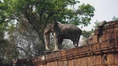 Siem Reap, Kamboçya. Terk Edilmiş Tapınağın Harabeleri - Angkor Wat 4k