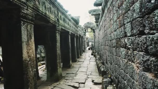 Ruinen des Tempels von Abandon - Angkor Wat 4k — Stockvideo