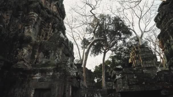 Ruïnes van de tempel van Abandon - Angkor Wat 4k — Stockvideo