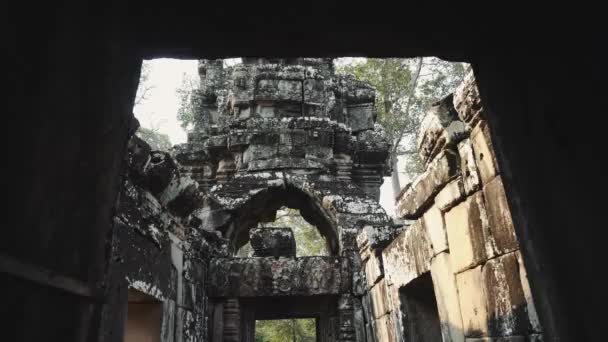 Ruinen des Tempels von Abandon - Angkor Wat 4k — Stockvideo