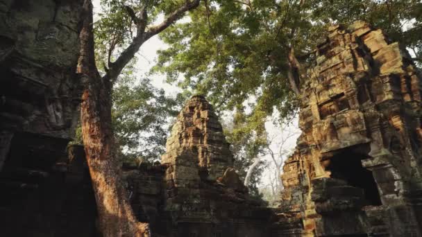 Terk Edilmiş Tapınağın Harabeleri - Angkor Wat 4k — Stok video