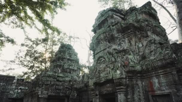 Ruiner av överge templet - Angkor Wat 4k — Stockvideo