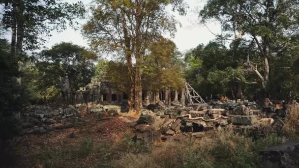 Zříceniny Opuštění chrámu - Angkor Wat 4k — Stock video