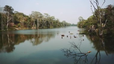 Siem Reap, Kamboçya. Angkor Wat tapınağının kalıntıları..
