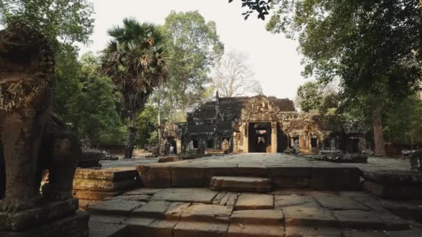 Ruínas do Templo de Abandono - Angkor Wat 4k — Vídeo de Stock