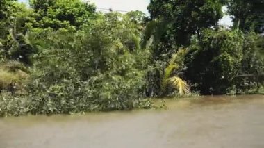 Vietnam 'daki Mekong Nehri, Güneydoğu Asya 4k