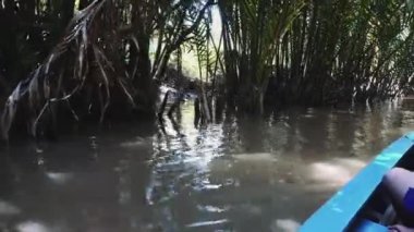 Vietnam 'daki Mekong Nehri, Güneydoğu Asya 4k