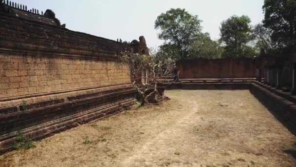 Siem Reap, Kambodja. Ruiner av överge templet - Angkor Wat 4k — Stockvideo