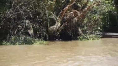 Vietnam 'daki Mekong Nehri, Güneydoğu Asya 4k