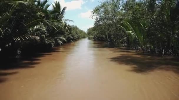 Mekongfloden i Vietnam, Sydostasien 4k — Stockvideo