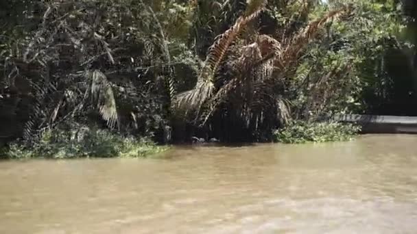 Mekongfloden i Vietnam, Sydostasien 4k — Stockvideo