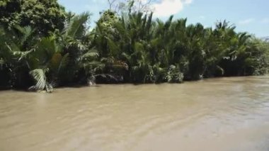 Vietnam 'daki Mekong Nehri, Güneydoğu Asya 4k