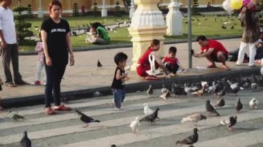 Çocuklar yolda güvercinlerle oynuyor.