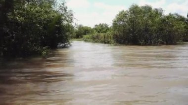 Vietnam 'daki Mekong Nehri, Güneydoğu Asya 4k