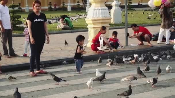 Děti si hrají s holuby na cestách — Stock video