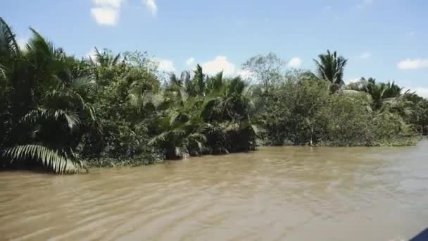 Mekong folyó Vietnamban, Délkelet-Ázsia 4k — Stock videók