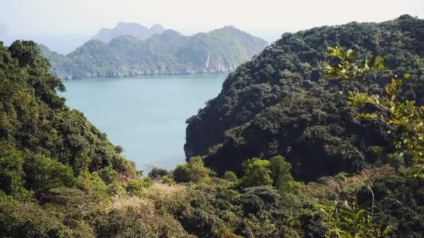 它美丽的天性。海洋，森林。越南、亚洲 — 图库视频影像