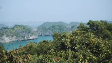 Güzel bir doğası var. Deniz, orman. Vietnam, Asya