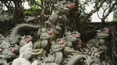 Güzel taş ejderha. Asya