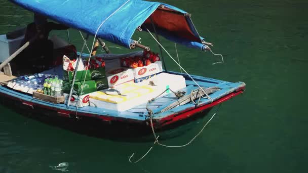 Kleine Boote in der Halong Bucht. Cat Ba. Vietnam — Stockvideo