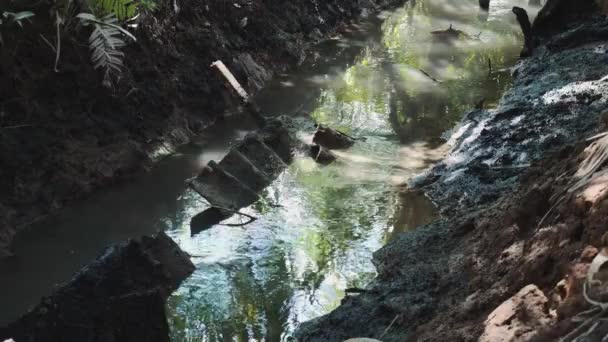 アジアの灌漑運河4k — ストック動画