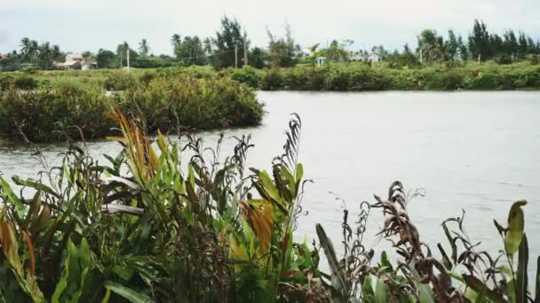 Lindo lago no Vietnã — Vídeo de Stock