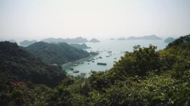 Güzel bir doğası var. Deniz, orman. Vietnam, Asya