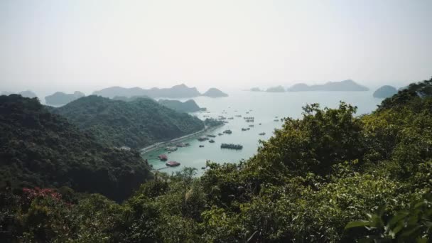 Güzel bir doğası var. Deniz, orman. Vietnam, Asya — Stok video