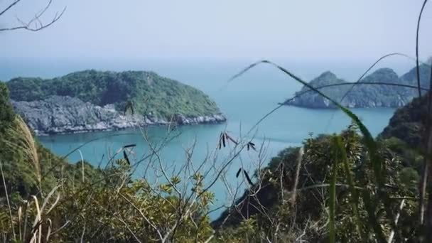 它美丽的天性。海洋，森林。越南、亚洲 — 图库视频影像
