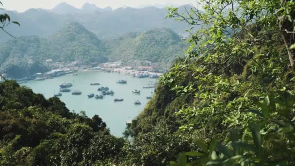 Güzel bir doğası var. Deniz, orman. Vietnam, Asya — Stok video