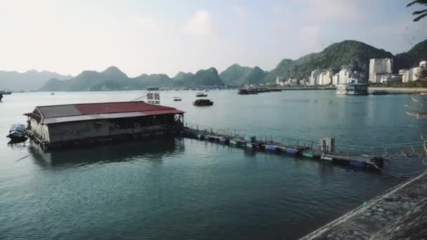 Utsikt över Cat Ba Island och Halong Bay, Vietnam — Stockvideo